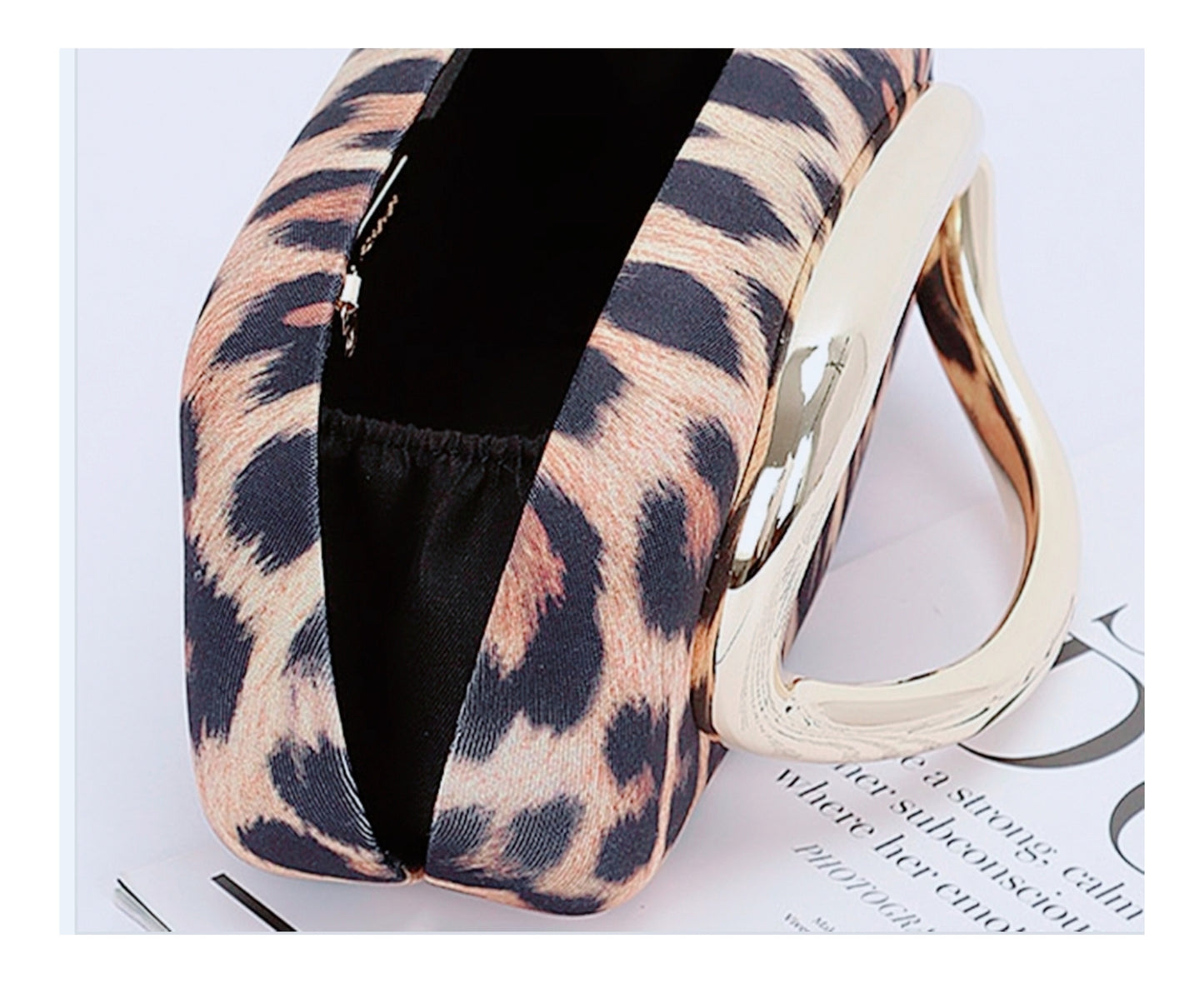 Lavish Lola (leopard)