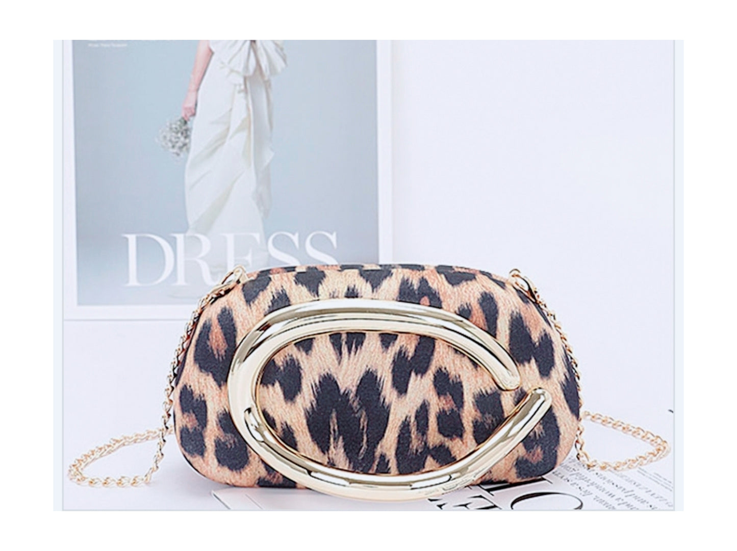 Lavish Lola (leopard)